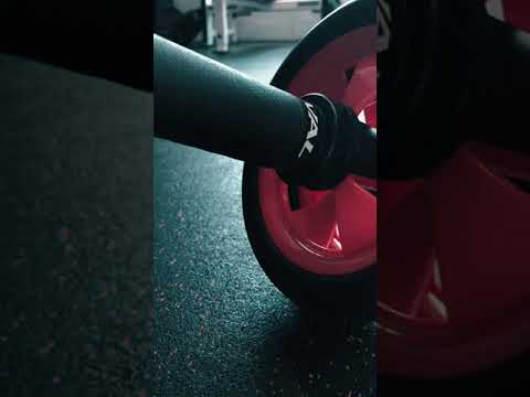Exercise Wheel